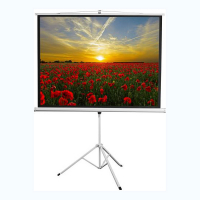 Экран на штативе DSKD-4303 - fgospostavki.ru - Королёв