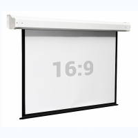 Экран настенный с электроприводом Electra DSEM-164008m - fgospostavki.ru - Королёв