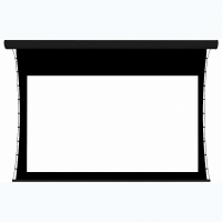 Экран настенный с электроприводом DSTPX-16918 - fgospostavki.ru - Королёв