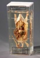 Влажный препарат "Внутреннее строение крысы" - fgospostavki.ru - Королёв