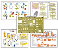Плакаты ПРОФТЕХ "Сырье и материалы хлебопекарного производства" (20 пл, винил, 70х100) - fgospostavki.ru - Королёв