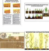 Плакаты ПРОФТЕХ "Агрономия" (5 пл, винил, 70х100) - fgospostavki.ru - Королёв