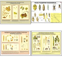 Плакаты ПРОФТЕХ "Вредители и болезни с/х культур и меры борьбы с ними" (11 пл, винил, 70х100) - fgospostavki.ru - Королёв