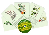 Интерактивный наглядный комплекс "Гербарий "Для начальной школы" - fgospostavki.ru - Королёв
