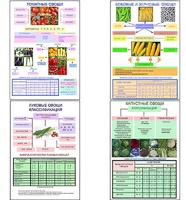 Плакаты ПРОФТЕХ "Классификация овощей" (11 пл, винил, 70х100) - fgospostavki.ru - Королёв