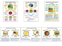 Плакаты ПРОФТЕХ "Плоды" (6 пл, винил, 70х100) - fgospostavki.ru - Королёв