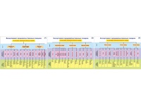 Плакаты ПРОФТЕХ "Ассортимент продовольственных товаров" (3 пл, винил, 70х100) - fgospostavki.ru - Королёв