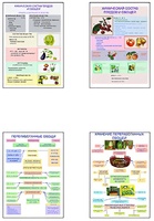 Плакаты ПРОФТЕХ "Классификация овощей и переработка" (8 пл, винил, 70х100) - fgospostavki.ru - Королёв