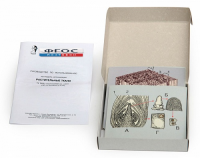 Модель-аппликация "Растительные ткани" (набор из 15 карт) - fgospostavki.ru - Королёв