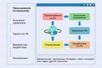 Интерактивные курсы. Информатика 10 класс . Базовый. - fgospostavki.ru - Королёв