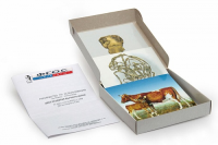 Модель-аппликация "Цикл развития бычьего цепня" (набор из 7 карт) - fgospostavki.ru - Королёв