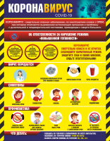 Плакат "Коронавирус" (вариант 1) - fgospostavki.ru - Королёв