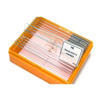 Набор готовых микропрепаратов (зоология) - fgospostavki.ru - Королёв