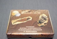 Коллекция "Формы сохранности ископаемых растений и животных" - fgospostavki.ru - Королёв