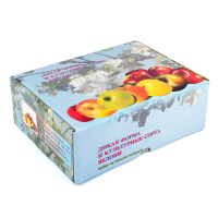 Набор муляжей "Дикая форма и культурные сорта яблок" - fgospostavki.ru - Королёв