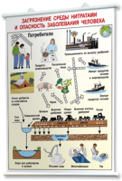Плакаты по общей экологии для оформления кабинета. - fgospostavki.ru - Королёв