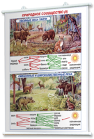 Плакаты по географии России для оформления кабинета. - fgospostavki.ru - Королёв