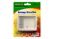 Набор микропрепаратов для микроскопа №2 «Насекомые» - fgospostavki.ru - Королёв