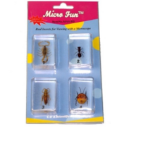 Набор микропрепаратов для стереомикроскопа №14 «Насекомые» - fgospostavki.ru - Королёв