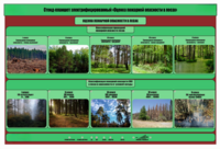 Стенд-планшет электрифицированный «Оценка пожарной опасности в лесах»  - fgospostavki.ru - Королёв