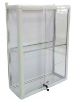 Шкаф-витрина для кубков и наград Вариант 1 - fgospostavki.ru - Королёв