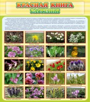 Стенд "Красная книга - растения" - fgospostavki.ru - Королёв