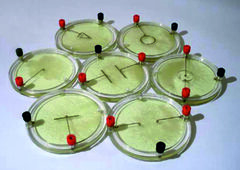 Демонстрационный комплект «Силовые линии электрического поля разных систем зарядов» - fgospostavki.ru - Королёв