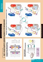 Комплект таблиц. Физика. Электромагнетизм. - fgospostavki.ru - Королёв