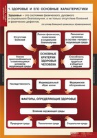 Комплект таблиц. ОБЖ. Здоровый образ жизни. - fgospostavki.ru - Королёв