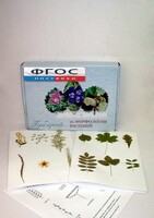 Гербарий "Морфология растений" (5 тем х 3 листа) - fgospostavki.ru - Королёв