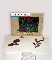 Гербарий "Дикорастущие растения" (28 видов) - fgospostavki.ru - Королёв