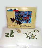 Гербарий "Деревья и кустарники" (20 видов) - fgospostavki.ru - Королёв