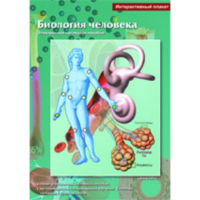 Интерактивные плакаты. Биология человека. Программно-методический комплекс - fgospostavki.ru - Королёв