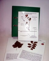 Гербарий к курсу основ общей биологии (20 листов, ламинированный) - fgospostavki.ru - Королёв