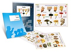 Комплект кодотранспарантов "Грибы" - fgospostavki.ru - Королёв