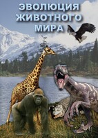 DVD "Эволюция животного мира" - fgospostavki.ru - Королёв