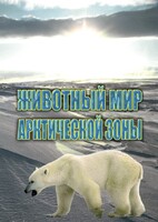 DVD "Животный мир Арктической зоны" - fgospostavki.ru - Королёв