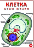 DVD "Клетка - "атом жизни" - fgospostavki.ru - Королёв