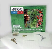 Гербарий "Основные группы растений" (52 листа) - fgospostavki.ru - Королёв