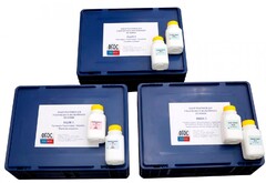 Набор реактивов для проведения ученического эксперимента по химии - fgospostavki.ru - Королёв