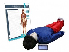 "Игорь-02" манекен-тренажер взрослого пострадавшего для отработки приемов сердечно-легочной реанимации (голова, туловище, конечности) с беспроводным планшетным компьютером и настенным анатомическим табло - fgospostavki.ru - Королёв