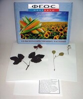 Гербарий "Сельскохозяйственные растения" (28 видов) - fgospostavki.ru - Королёв