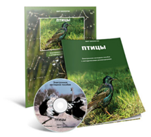 Электронное наглядное пособие «Птицы» - fgospostavki.ru - Королёв