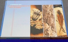 Коллекция "Палеонтологическая" (16 образцов) - fgospostavki.ru - Королёв