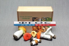 Набор муляжей грибов - fgospostavki.ru - Королёв