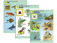 Комплект таблиц "Окружающий мир. Животный мир" (8 таблиц, А1, ламинированные) - fgospostavki.ru - Королёв