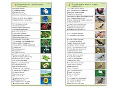 Комплект карточек (10) "Обучающий калейдоскоп. Природа" - fgospostavki.ru - Королёв