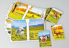 Настольно-печатная игра "Вокруг света" - fgospostavki.ru - Королёв