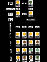 Модель-аппликация "Дигибридное скрещивание" (ламинированная) - fgospostavki.ru - Королёв