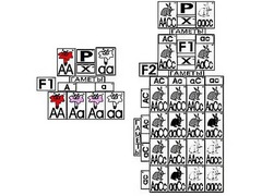 Модель-аппликация "Неполное доминирование и взаимодействие генов" (ламинированная) - fgospostavki.ru - Королёв